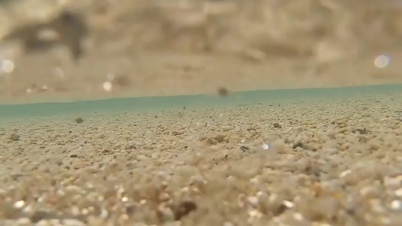 3年ぶり？の浜島は 予想以上に巨大化😂 晴れてる日の浜島の波打ち際が好き💙ダレカニミセタイウミ #ishigakijima #ocean_lovers_united #underwaterphotographer #美人鱼 #自由潜水 #underwater #instatrip #bestph