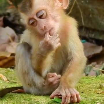 Poor abandon baby full sleep without grooming care