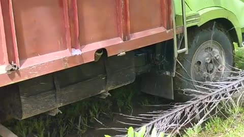 truck loaded with palm oil