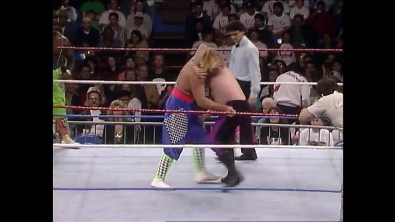 WWF Superstars Jan 30 1993