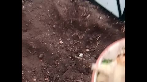 How to make Compost