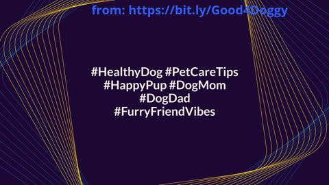 Want a Happy Pet? Essential Vitamins to Keep Them Vibrant and Healthy!