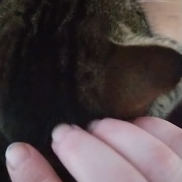 Ziuta my friend 😻