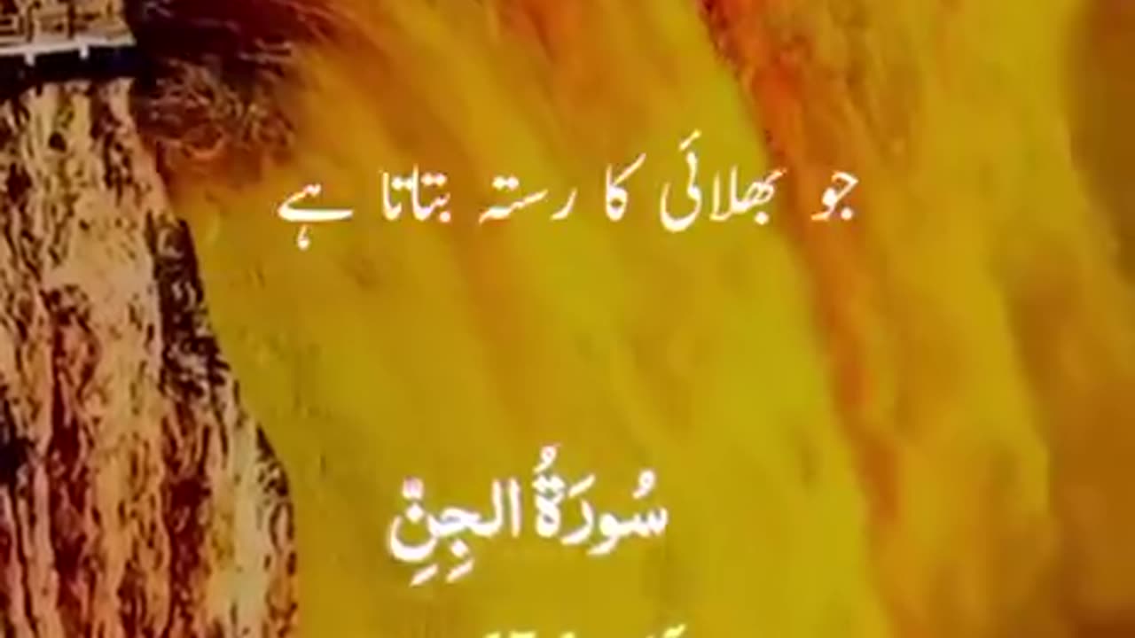 Beshak 💯♥️✨🕊️