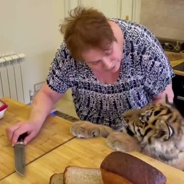 Just like any other baby in the house 😱