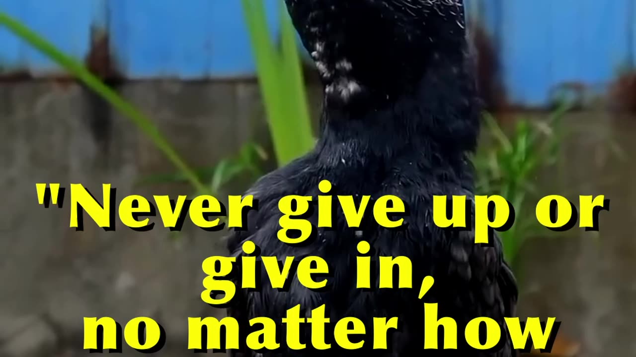 Your Attitude Matters