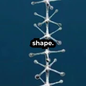 The Eltanin Antenna: Alien Artifact or Natural Phenomenon?