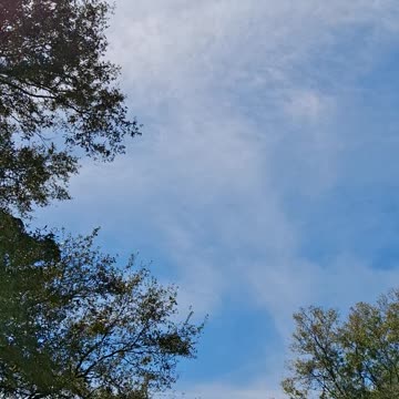 CHEMICAL SK|||ES OVER JACKSONVILLE ,FLA