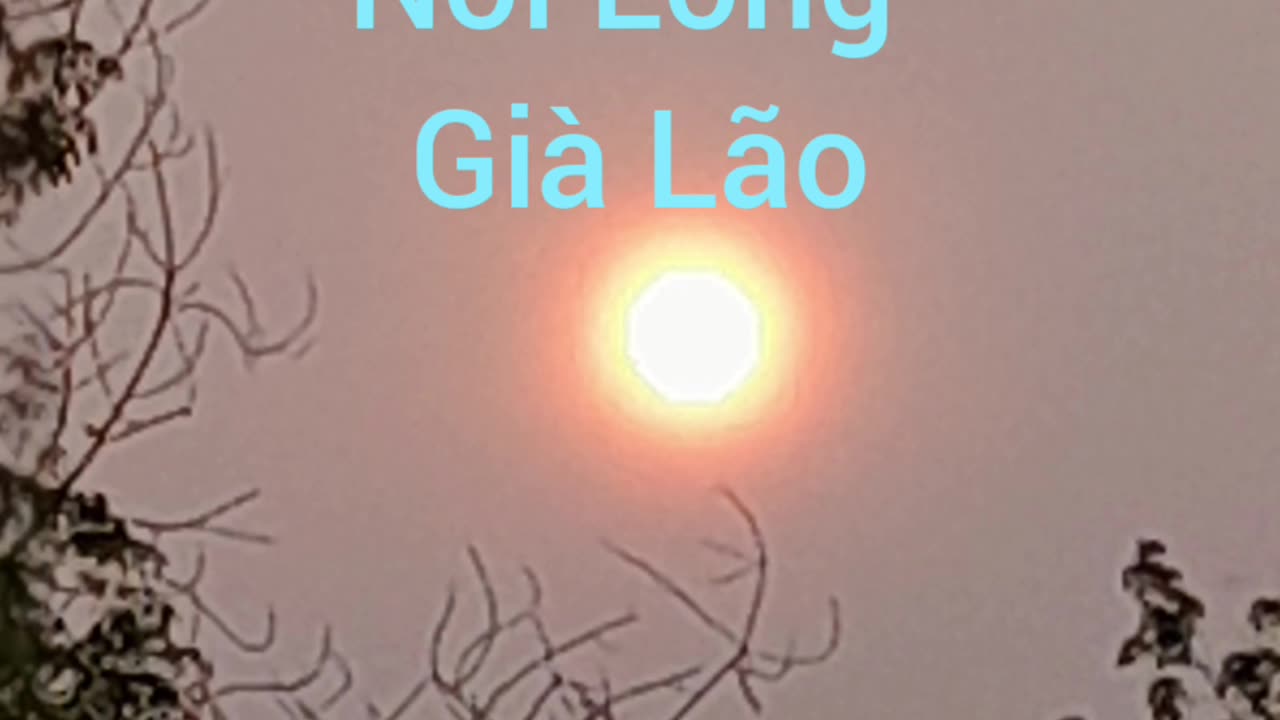 nổi l9ngf già lão ( hội long hoa )