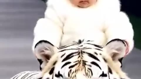 Baby With Animals