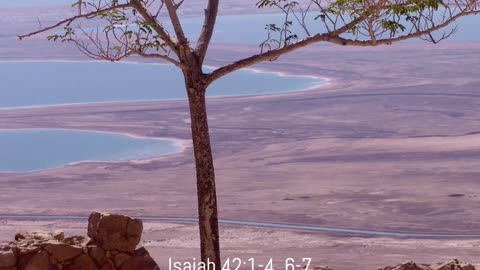 A reading from the book of Isaiah, 42:1-4,6-7