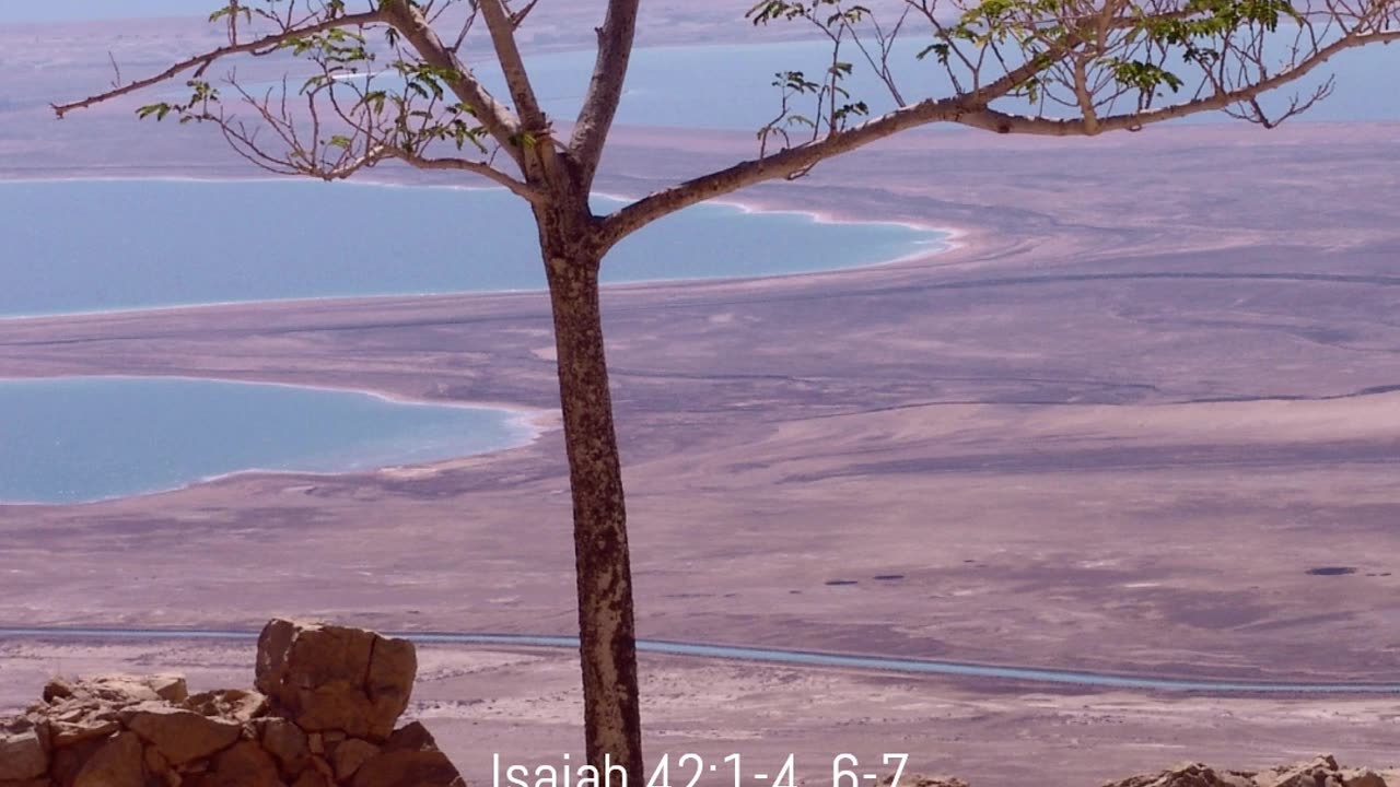 A reading from the book of Isaiah, 42:1-4,6-7