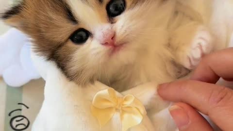 Good baby, call it, and it will respond.