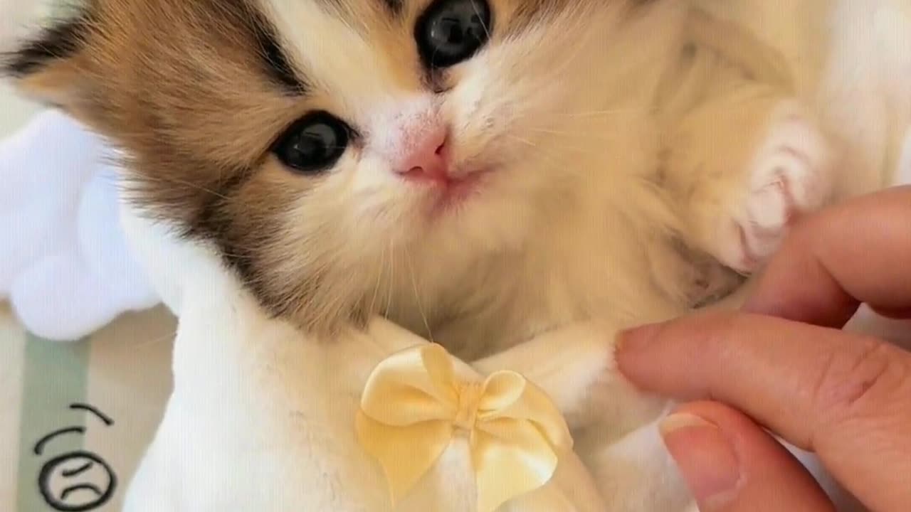 Good baby, call it, and it will respond.