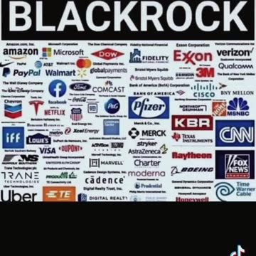 Tim Rifat TikTok videos