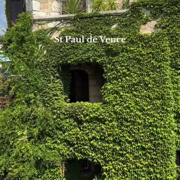 The south of France is like a blooming flower 🌹🤗