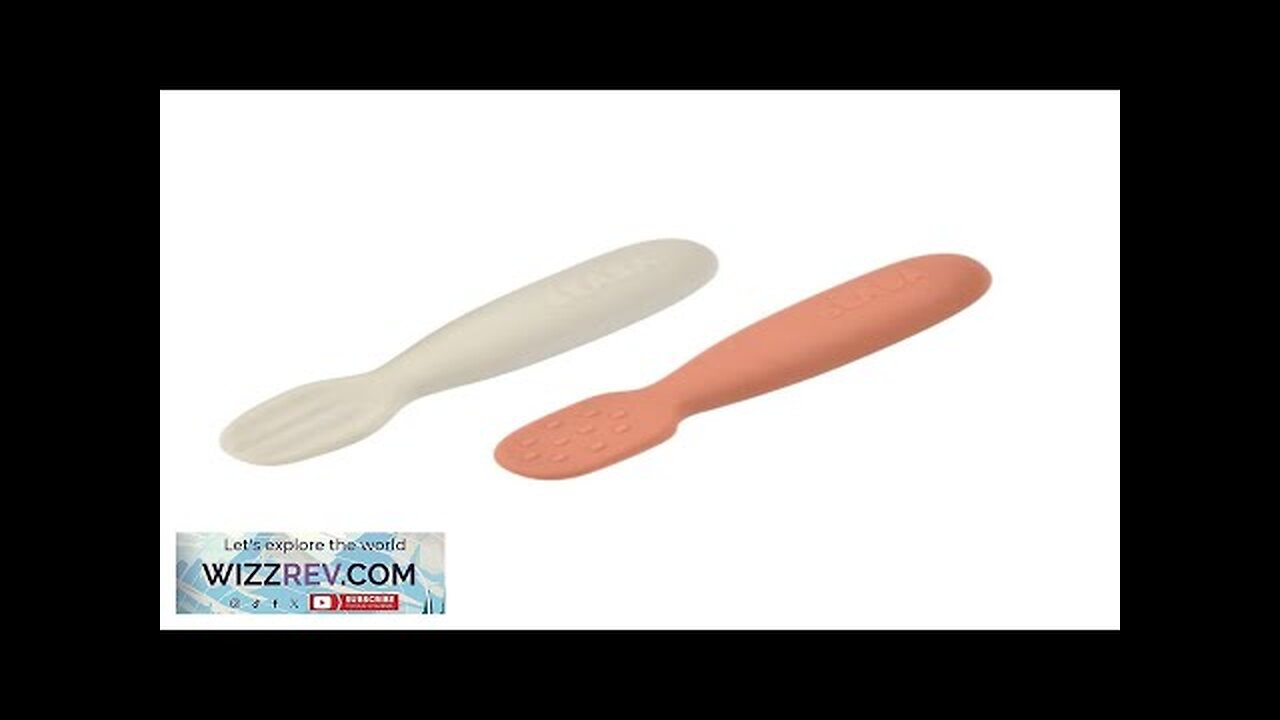 Beaba Silicone Pre-Spoons 2 Pack Terracotta/Velvet Grey Review