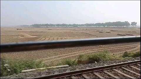 Railway track through paddy field