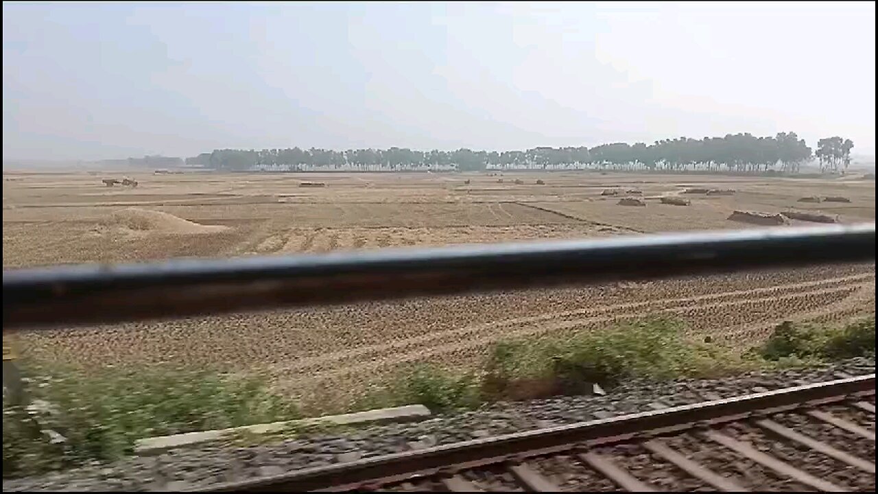 Railway track through paddy field