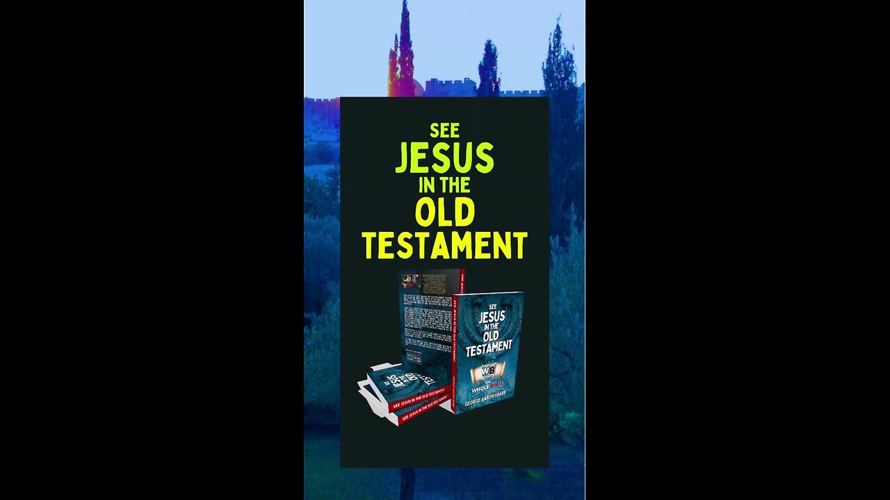 Book: See Jesus in the Old Testament 👉🏽📖🔥❤️‼️