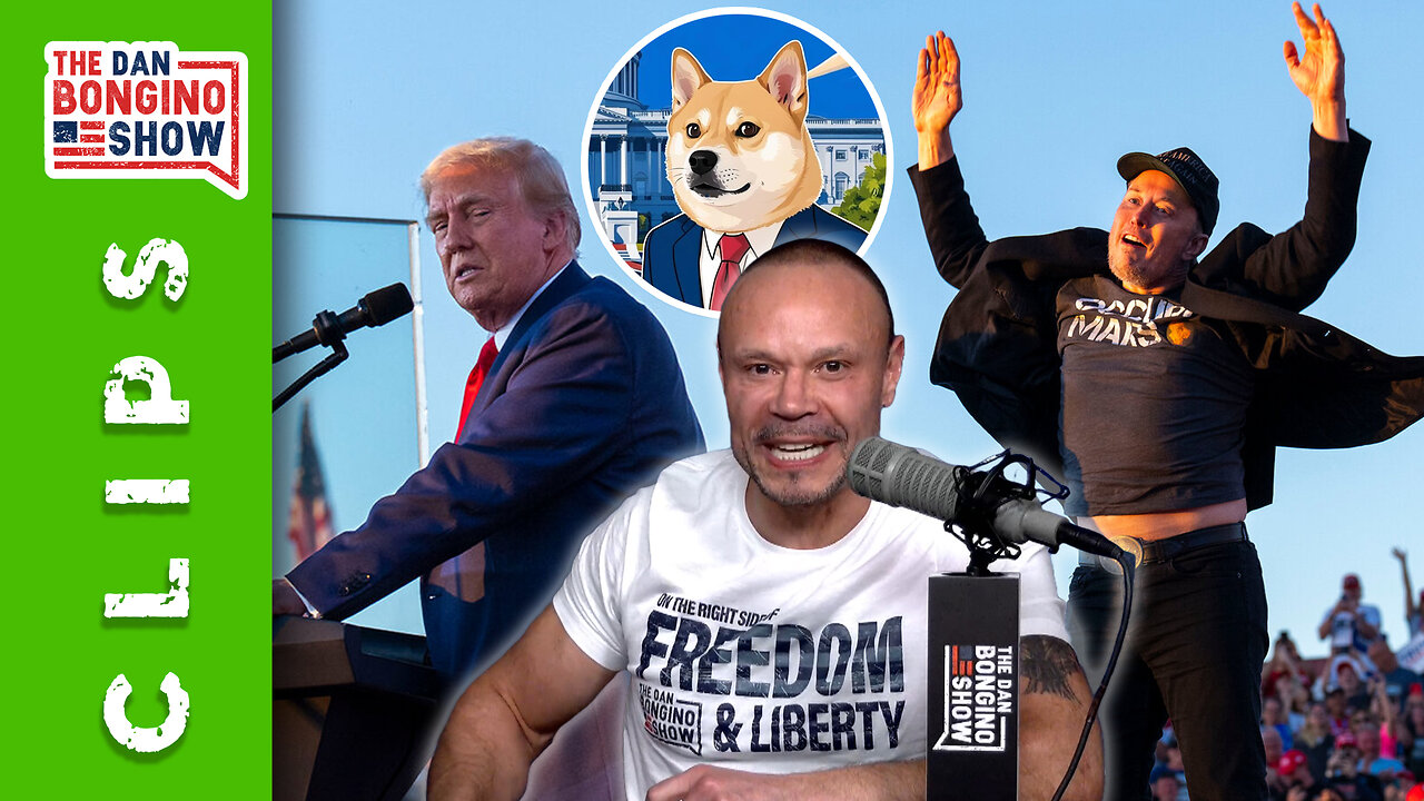 Corrupt Judges, DOGE, and... Harry Bōlz?