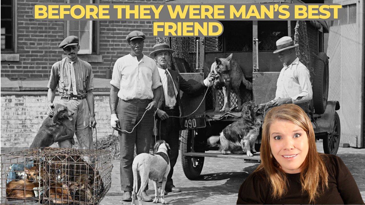 NYC's Forgotten War: The Shocking 83-Year Battle Against Stray Dogs (1811-1894)