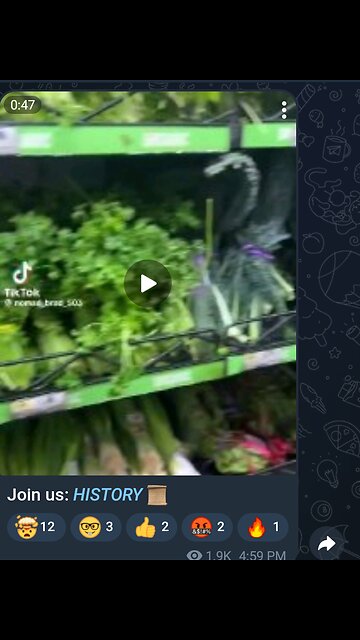 Documentary: Organic Produce Spray