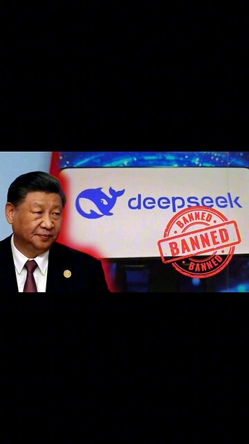 Deepseek ai banned in some countries