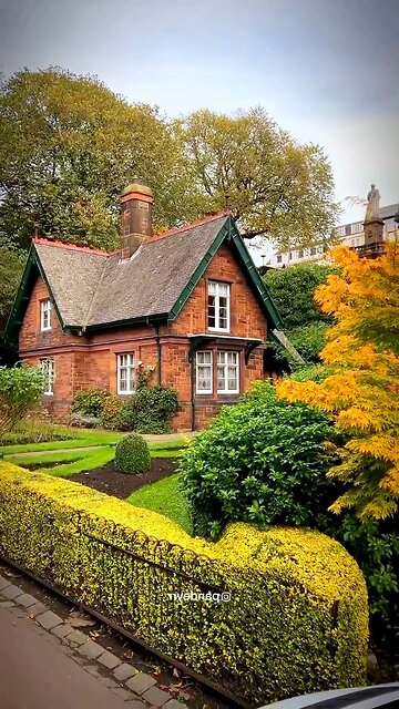 Amazing View 🪟 ||#rumble