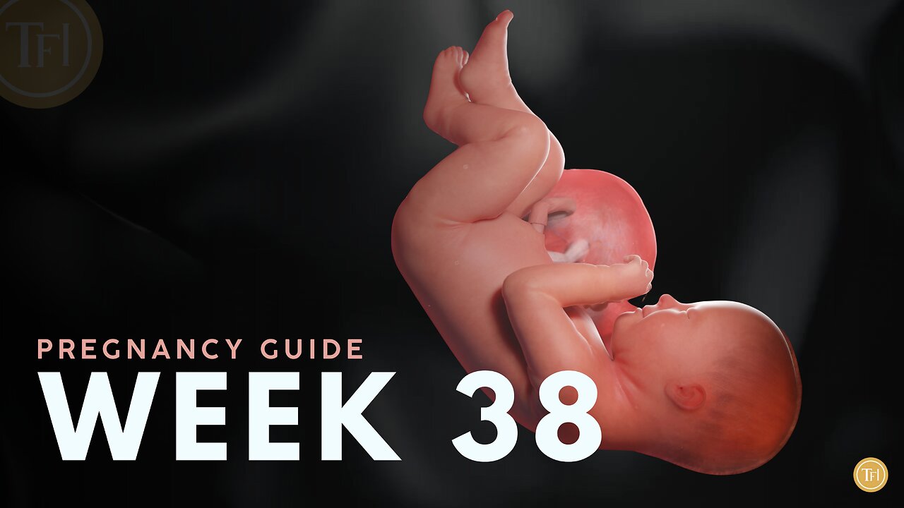 What to Expect at Week 38 | Week by Week Pregnancy Guide