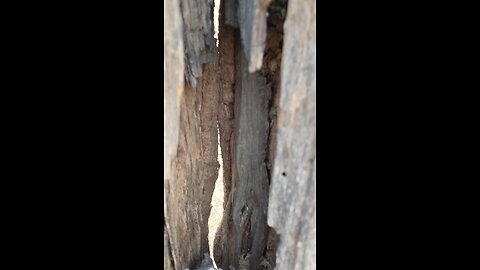 it's Tree View 😃😃