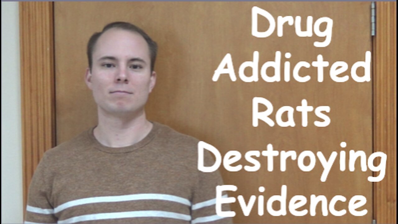 Drug Addicted Rats Destroying Evidence