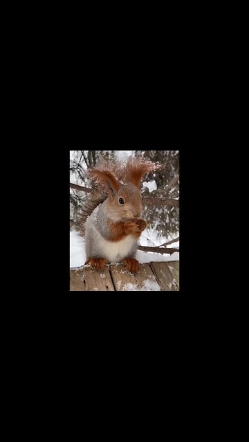 Wow - awesome speed!!! This is my first time seeing!!!