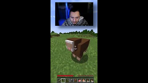 Un humor muy de Minecraft