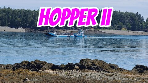 HOPPER ll - Campobello Ferry #shorts #supertenere #klr650