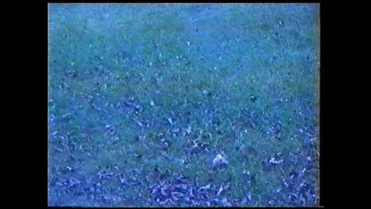 Last-Studio, Video-N.58 (2002)