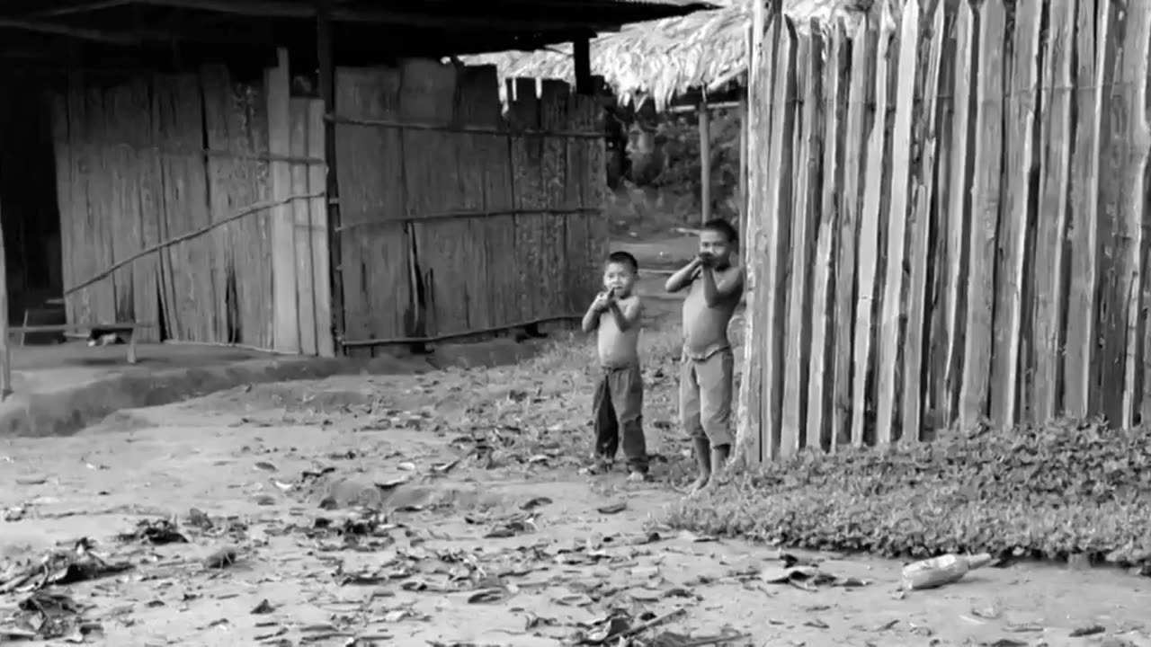 o abraço da serpente