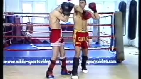 Peter Aerts Muay Thai Instructional Volumes 1-5