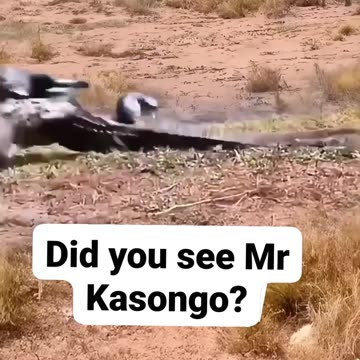 Don't Travel Without Telling Your Wife 🤣🤣🤣