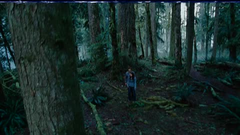Trailer : Twilight (2008)