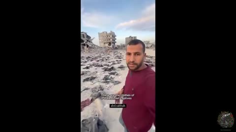 The Chaos Required. Max Igan