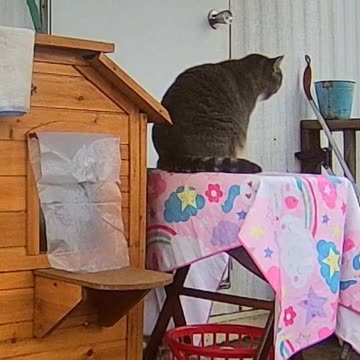 EA S116 - Feeling Paranoid