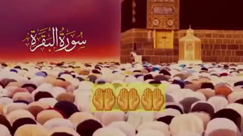 Beshak 💯♥️✨🕊️