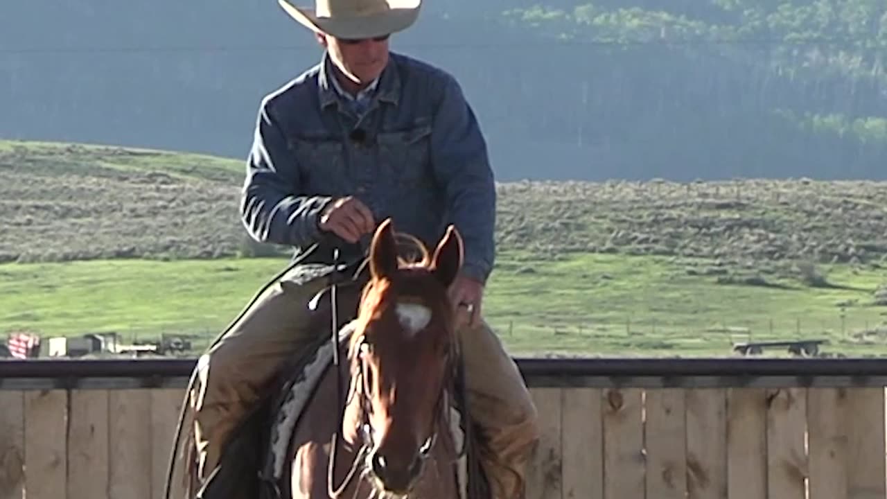 Trotting those circles is really starting to help.