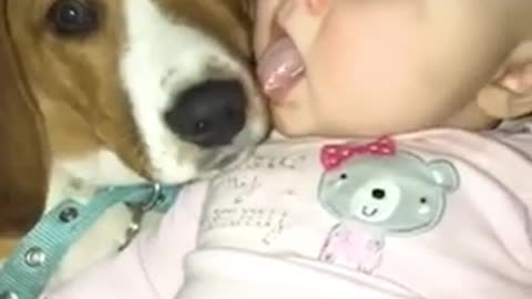 When a Dog Loves You TOO Much… This Happens! 🤣💖