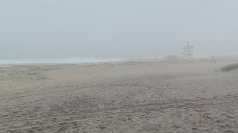 FOGGY DAY AT THE BEACH!