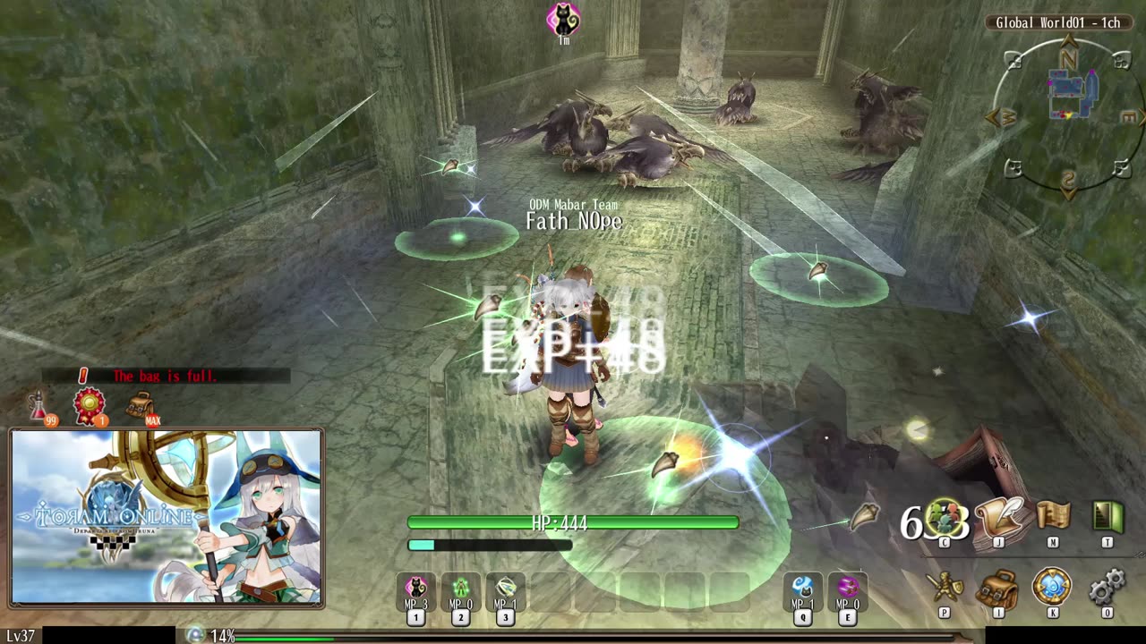 Toram Online Bird Wings Low Level Farming