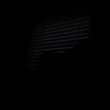 Shadows Just Outside?! 🏡