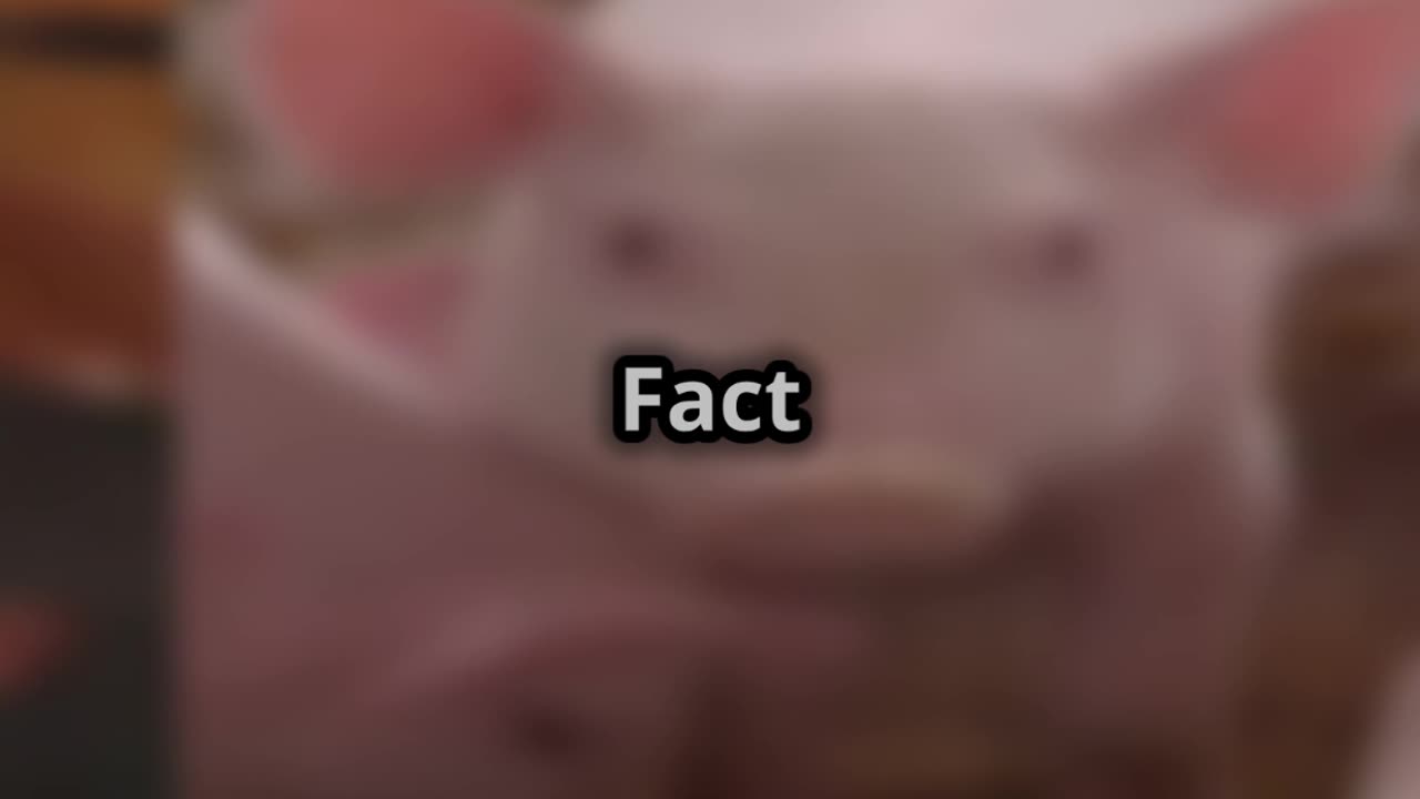 Why Pig Farming is a Secret Goldmine!