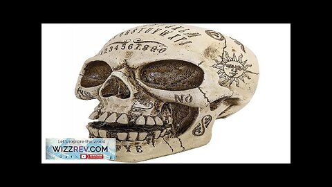 Mystic Skull Decoration Review